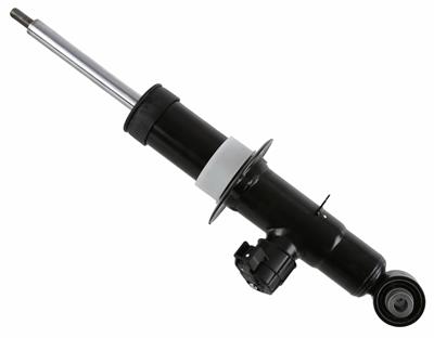 SACHS 319 207 EAN: 4059923077312.