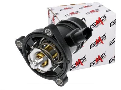 AUTOMEGA 160089210 EAN: 4053184455605.