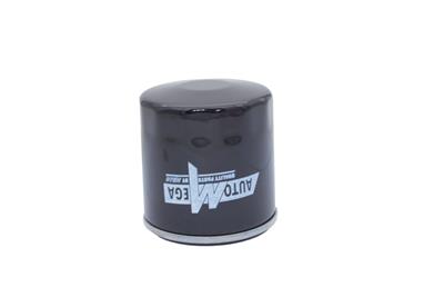 AUTOMEGA 180053610 EAN: 4053184276781.