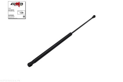 AUTOMEGA 210192510 EAN: 4053184472862.