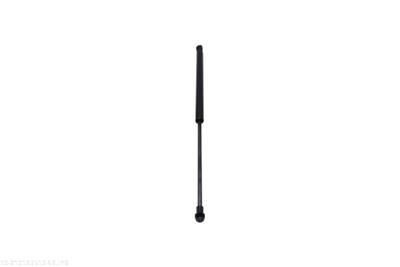 AUTOMEGA 210192510 EAN: 4053184472862.