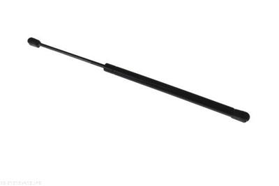 AUTOMEGA 210195410 EAN: 4053184473449.