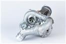 BorgWarner 10009900076