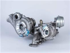 BorgWarner 10009980164