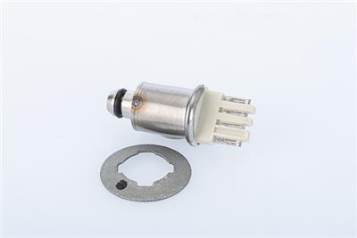 BorgWarner DS120526 EAN: 4063984900786.
