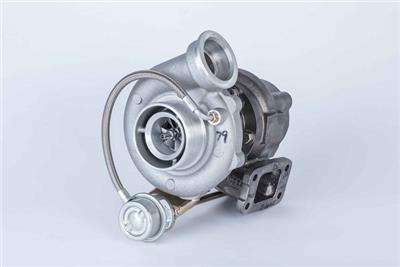 BorgWarner 319244 EAN: 4063984004620.