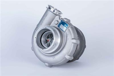 BorgWarner 53299887132 EAN: 4063984013202.