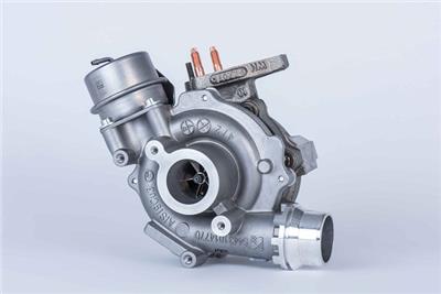 BorgWarner 54389880006 EAN: 4063984016272.