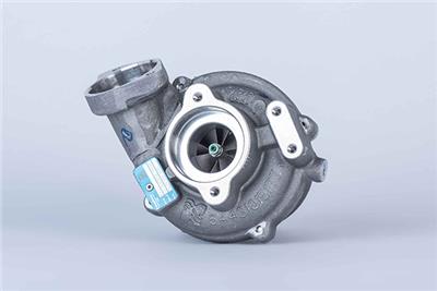BorgWarner 54399900089 EAN: 4063984101596.