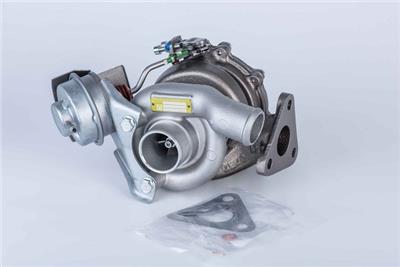 BorgWarner 57409900200 EAN: 4063984022662.