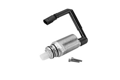 BorgWarner DS118574 EAN: 4063984900878.
