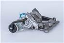 BorgWarner (3K) 54319880002