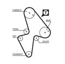 GATES 5418XS PowerGrip™