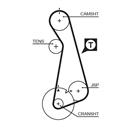 GATES 5424XS PowerGrip™