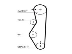 GATES 5521XS PowerGrip™