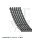 BLUE PRINT AD06R1245