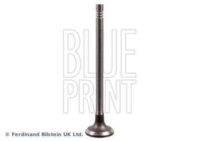 BLUE PRINT ADBP610034 EAN: 5057746270100.