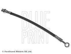 BLUE PRINT ADG053218