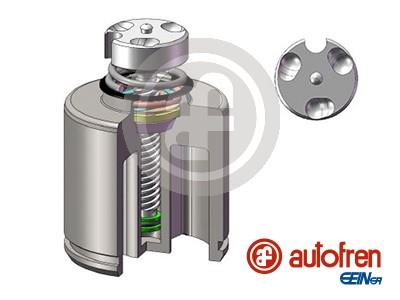 AUTOFREN SEINSA D025627RK EAN: 8430320288482.