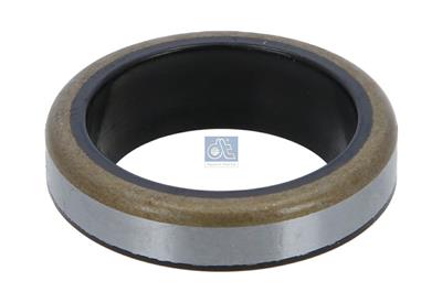 DT Spare Parts 4.20176 EAN: 4047755161118.