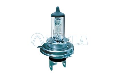 TESLA B10401 EAN: 8595141029093.