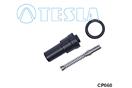 TESLA CP060