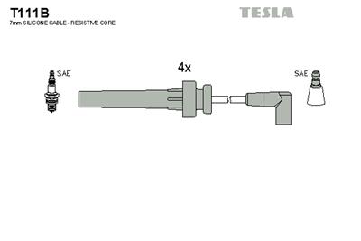 TESLA T111B EAN: 8595141021561.