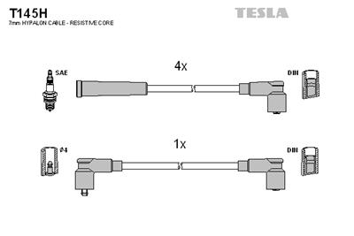 TESLA T145H EAN: 8595141000078.
