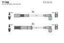 TESLA T178B