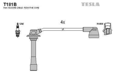 TESLA T181B EAN: 8595141022407.