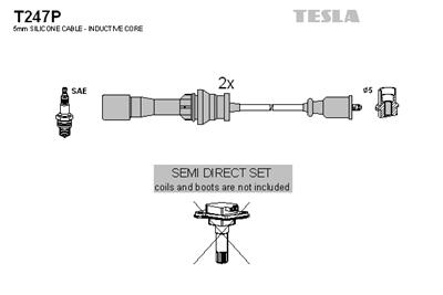 TESLA T247P EAN: 8595141022384.