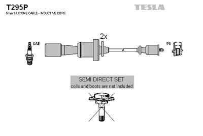 TESLA T295P EAN: 8595141029314.