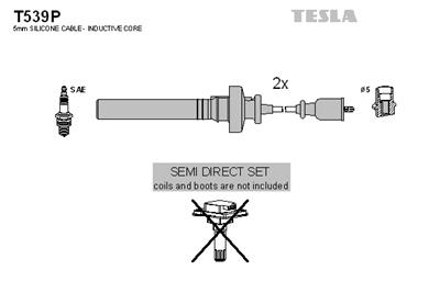 TESLA T539P EAN: 8595141016796.