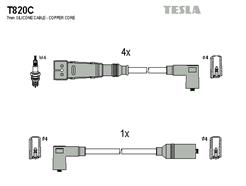 TESLA T820C