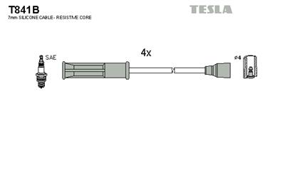 TESLA T841B EAN: 8595141012576.