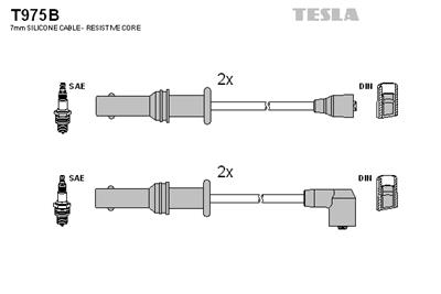 TESLA T975B EAN: 8595141015218.