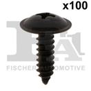 FA1 89-70001.100 - Skrutka