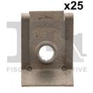 FA1 99-30024.25 - Plechova matica