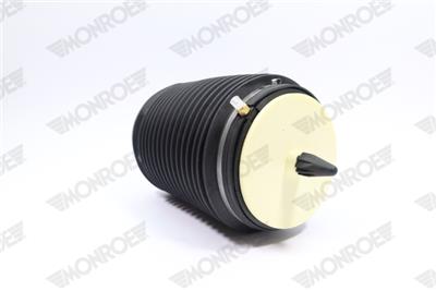 MONROE ASP019