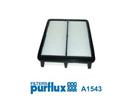 PURFLUX A1543