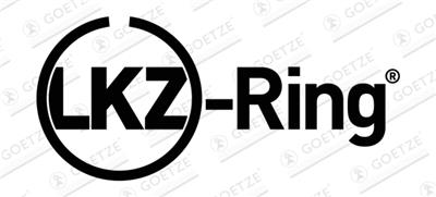 Goetze Engine 08-432200-10 EAN: 4060426180553.