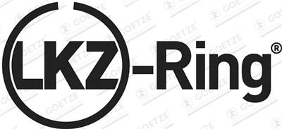 Goetze Engine 08-432905-00