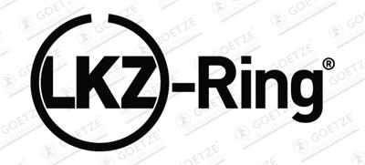 Goetze Engine 08-451300-00 EAN: 4060426249090.