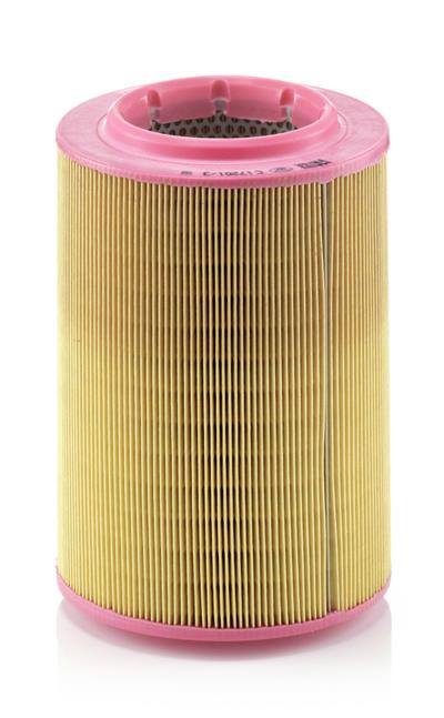 MANN-FILTER C 17 201/3 EAN: 4011558142506.