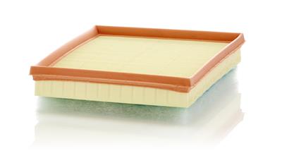 MANN-FILTER C 24 017 EAN: 4011558060053.
