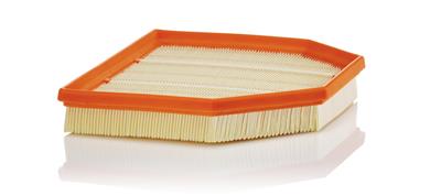 MANN-FILTER C 24 243 EAN: 4011558824983.