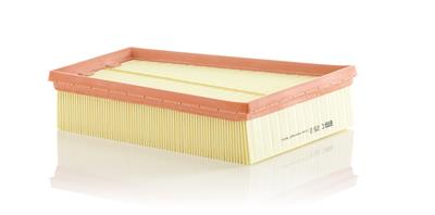 MANN-FILTER C 2512 EAN: 4011558221706.
