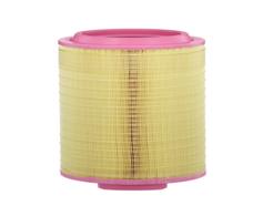 MANN-FILTER C 25 024/1