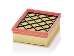 MANN-FILTER C 27 031