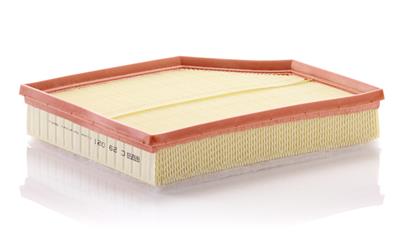 MANN-FILTER C 29 021 EAN: 4011558068905.